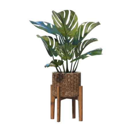 shop-bg-16